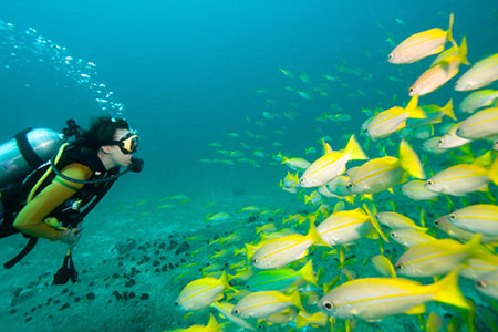 Scuba Diving Travel Insurance