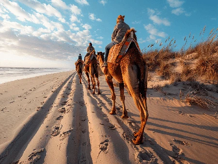 Travel insurance when Camel Riding