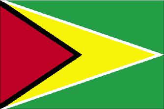 Flag Guyana Travel Insurance Flag Guyana Travel Insurance
